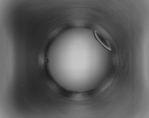 X0000101660072200807171323