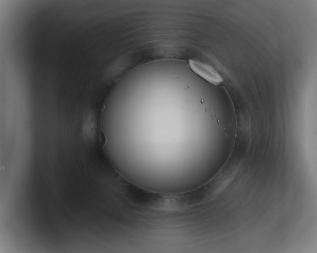 X0000101660080200807171323