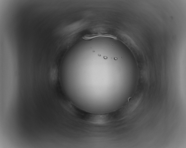 X0000101660081200807171323