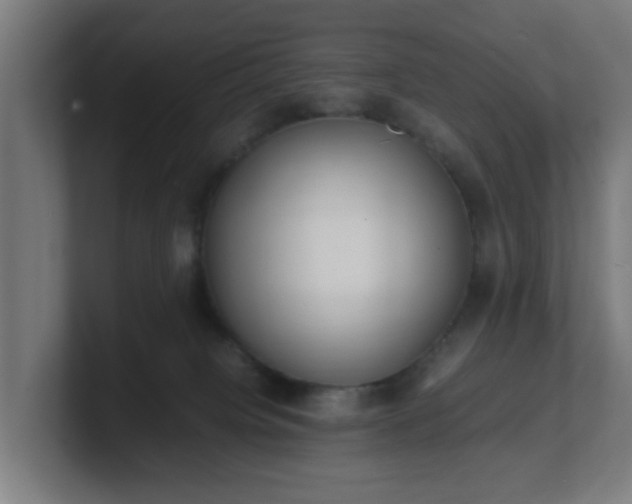 X0000101660084200807171323