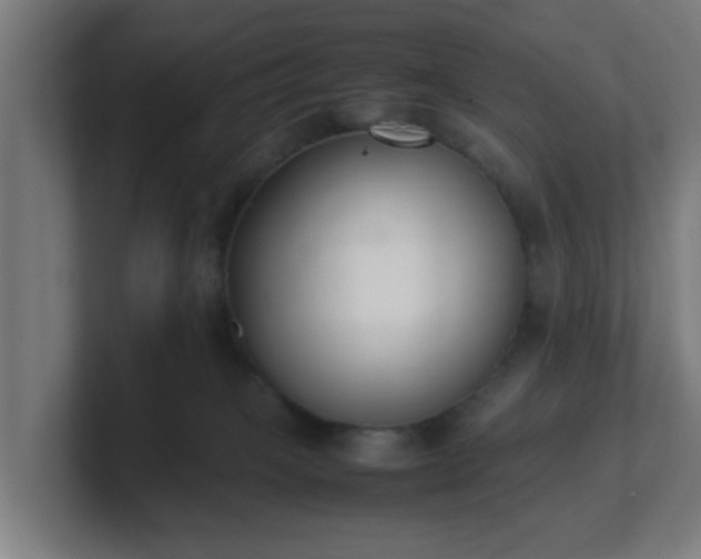 X0000101660085200807171323