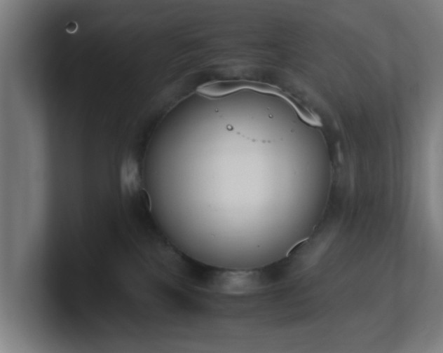 X0000101660089200807171323