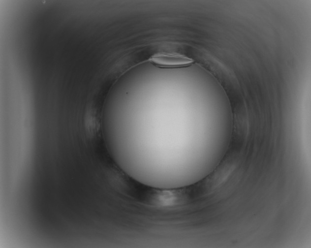 X0000101660091200807171323