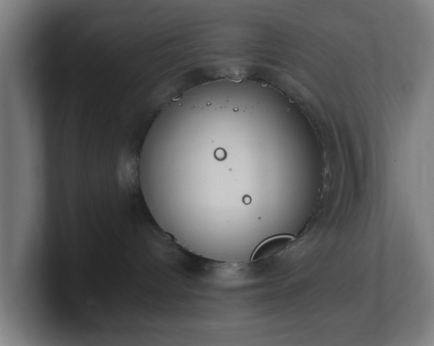 X0000101660096200807171323