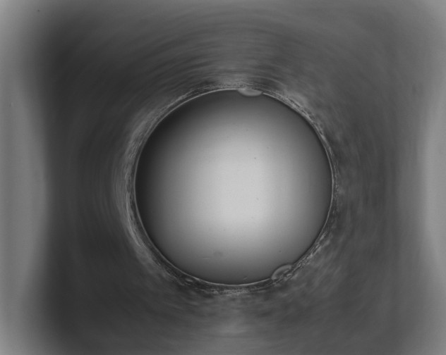 X0000101660097200807171323