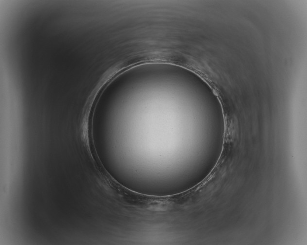 X0000101660099200807171323