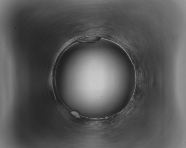 X0000101660100200807171323