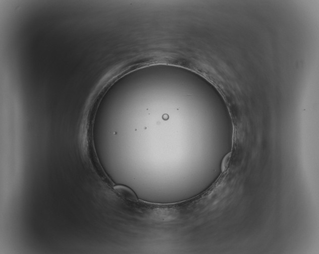 X0000101660101200807171323