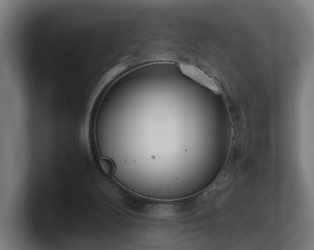 X0000101660104200807171323