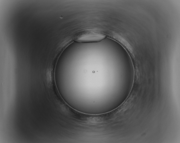 X0000101660105200807171323