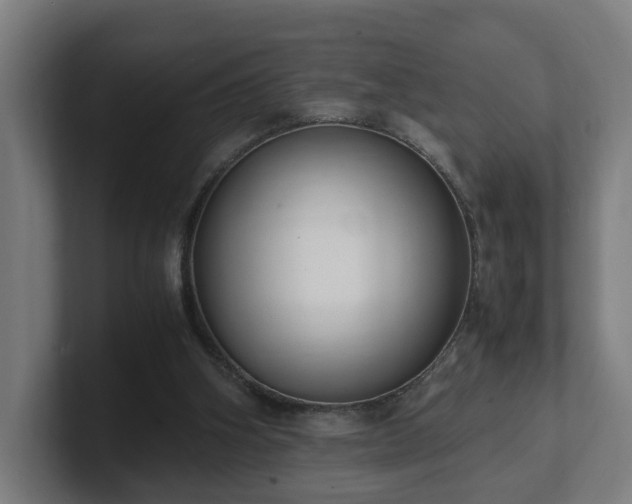 X0000101660106200807171323