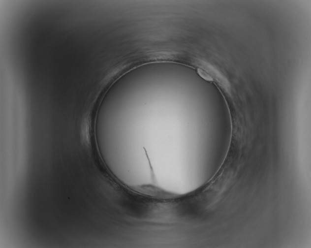 X0000101660107200807171323