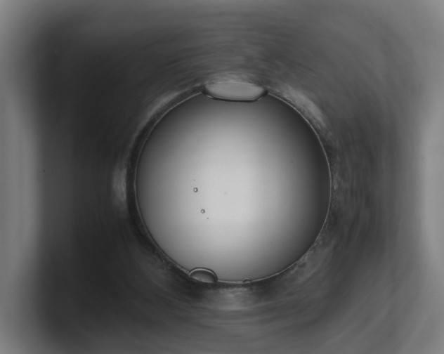 X0000101660108200807171323