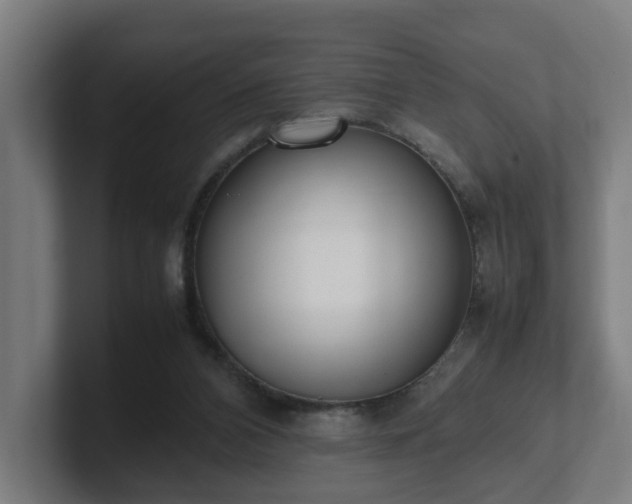 X0000101660112200807171322