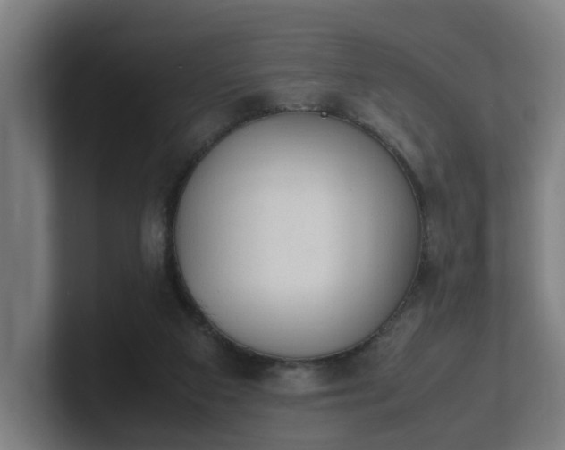 X0000101660113200807171322