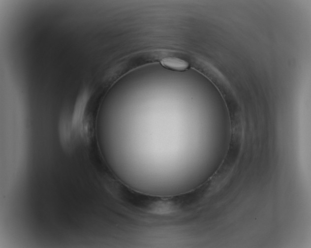 X0000101660119200807171322