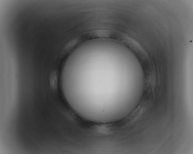 X0000101660120200807171322