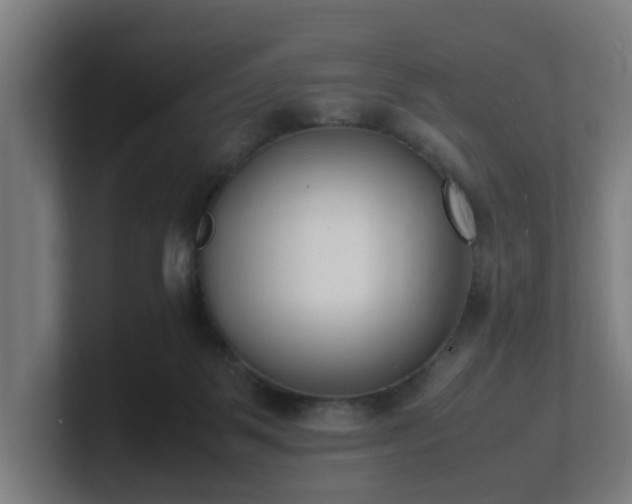 X0000101660123200807171322