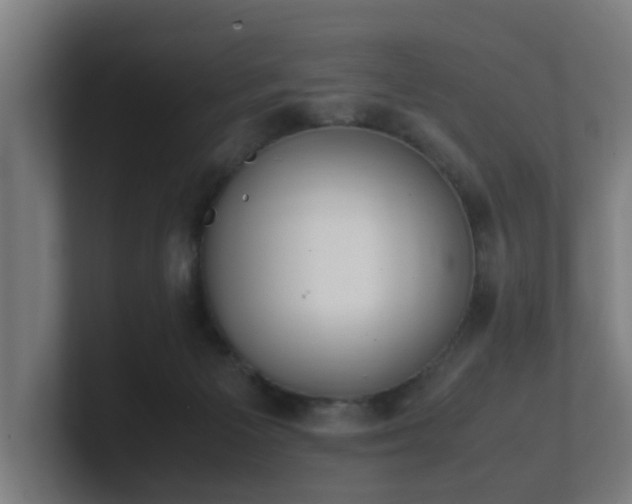 X0000101660125200807171322