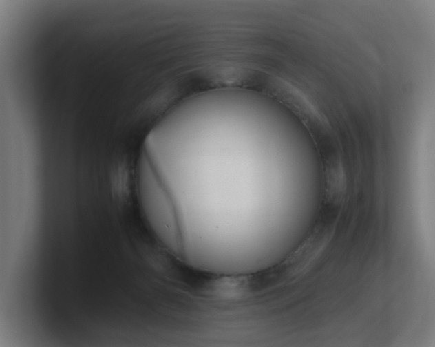 X0000101660126200807171322