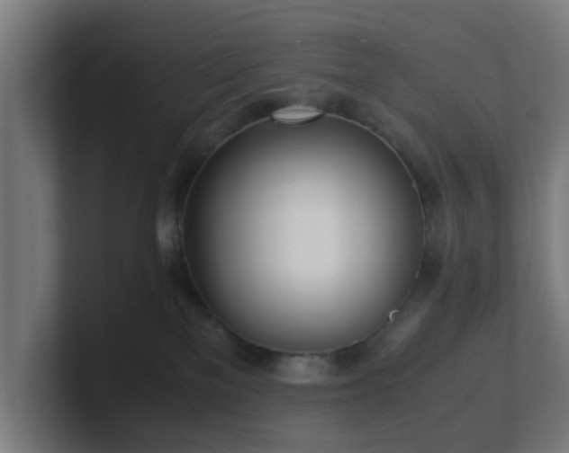 X0000101660137200807171322