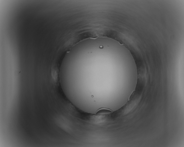 X0000101660139200807171322