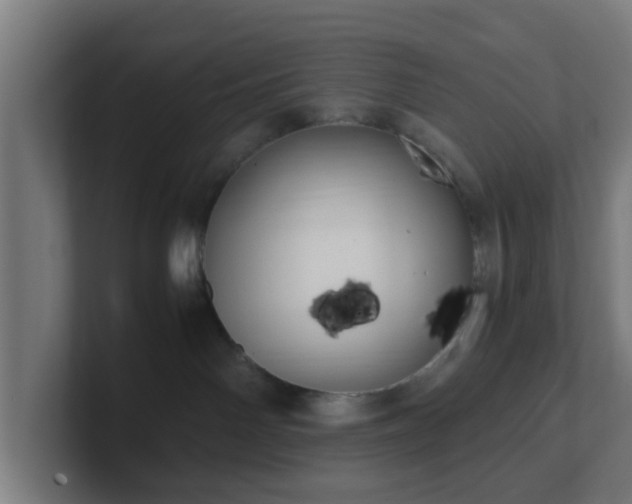 X0000101660142200807171322