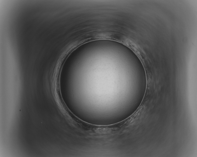 X0000101660145200807171321