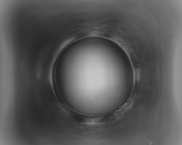 X0000101660147200807171321