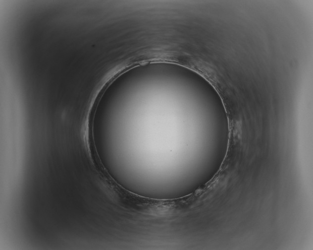 X0000101660148200807171321