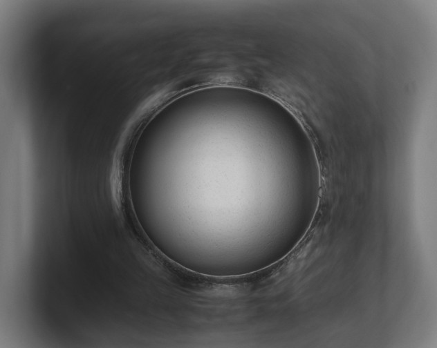 X0000101660149200807171321