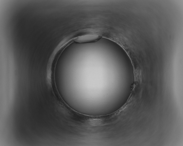 X0000101660150200807171321