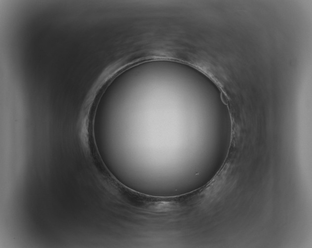 X0000101660151200807171321