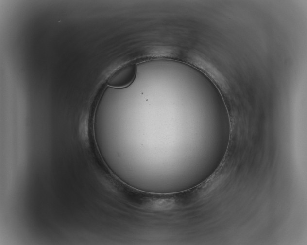 X0000101660155200807171321