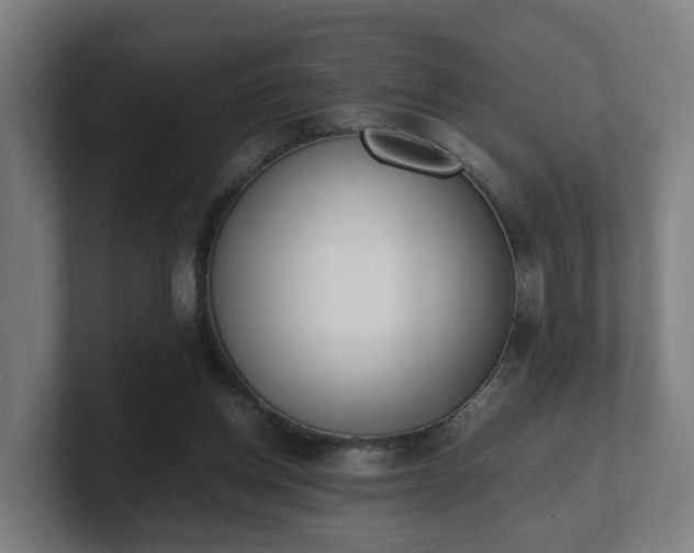 X0000101660158200807171322