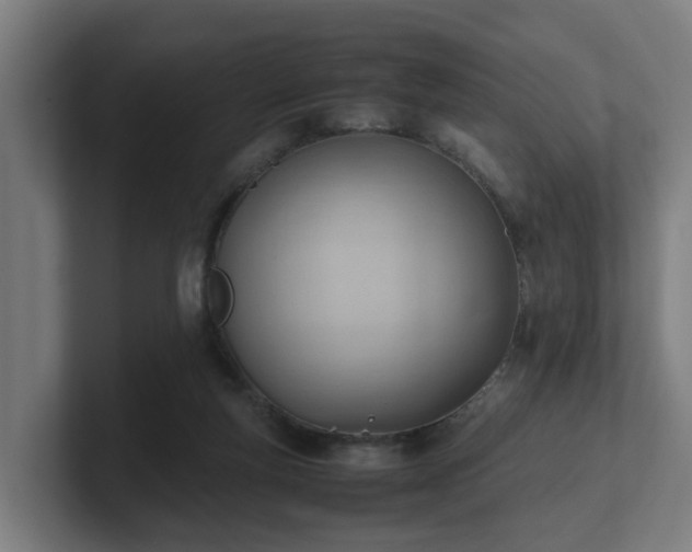 X0000101660163200807171322