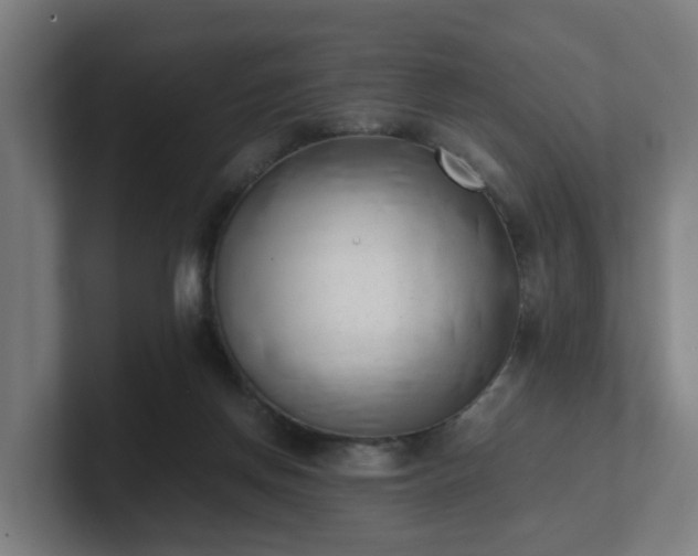 X0000101660166200807171322