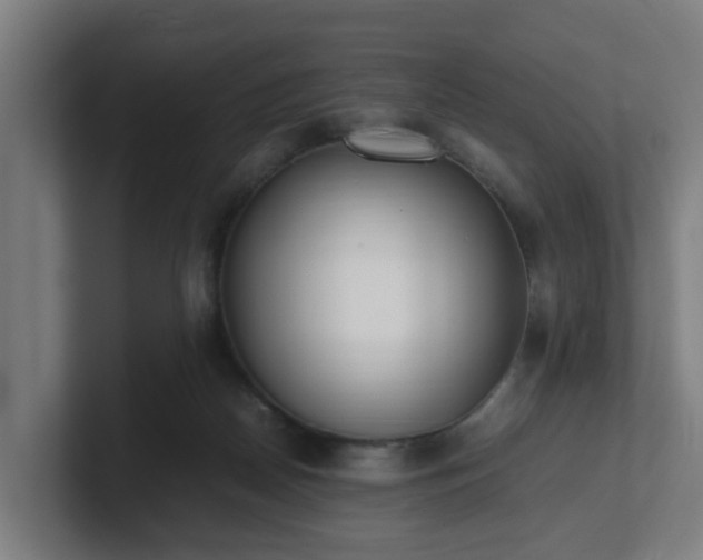 X0000101660170200807171322