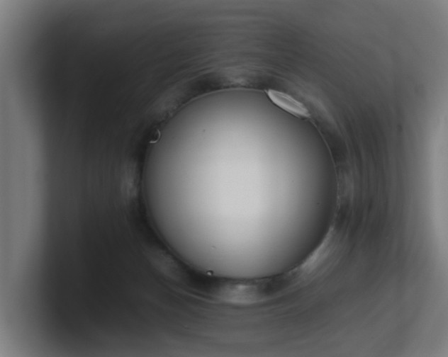 X0000101660174200807171322