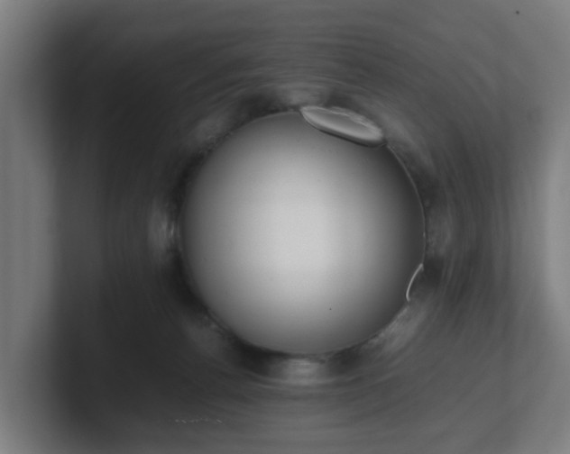 X0000101660176200807171322