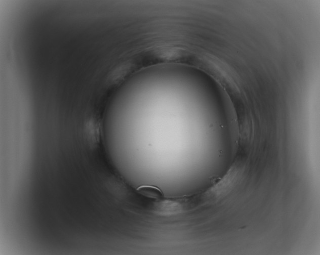 X0000101660180200807171322