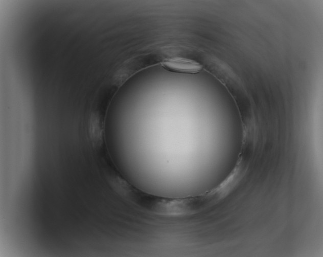 X0000101660186200807171322