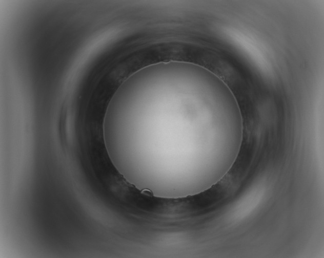 X0000101660189200807171322