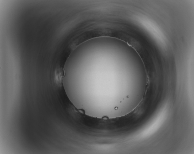 X0000101660190200807171322