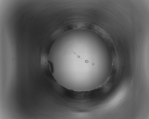 X0000101660191200807171322