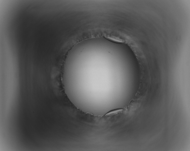 X0000101660192200807171322