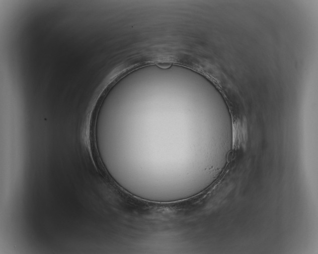 X0000101660195200807171321