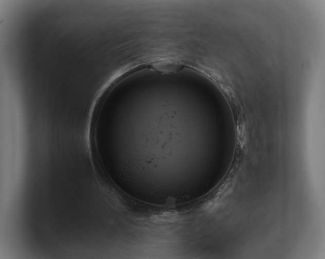 X0000101660196200807171321