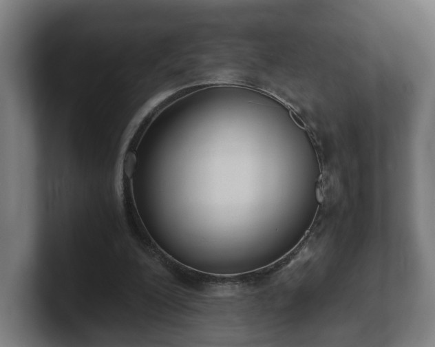 X0000101660200200807171321