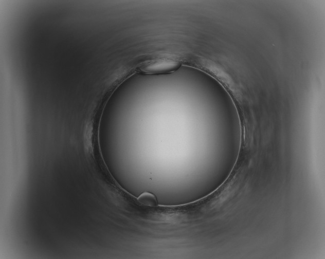 X0000101660201200807171321